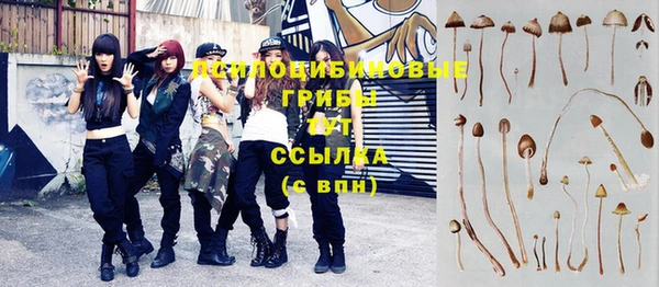 ALPHA-PVP Баксан